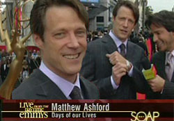 Emmy Red Carpet Icon